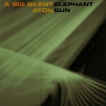 a big silent elephant - recensioni in breve