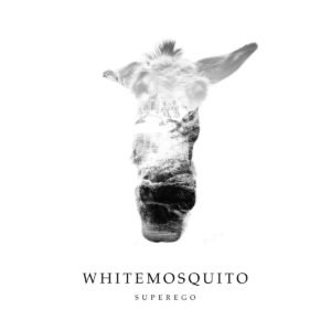 whitemosquito