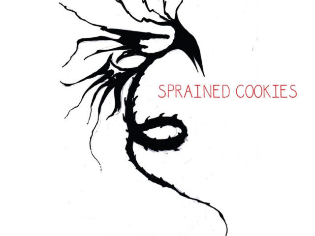 L’intervista: le piccole conquiste degli Sprained Cookies