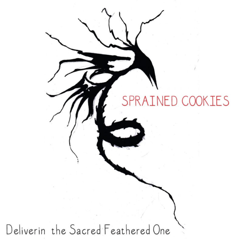 L’intervista: le piccole conquiste degli Sprained Cookies