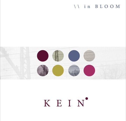 La recensione: “in BLOOM”, Kein