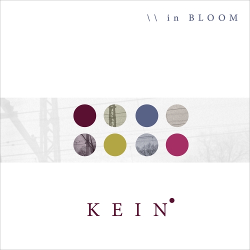 La recensione: "in BLOOM", Kein