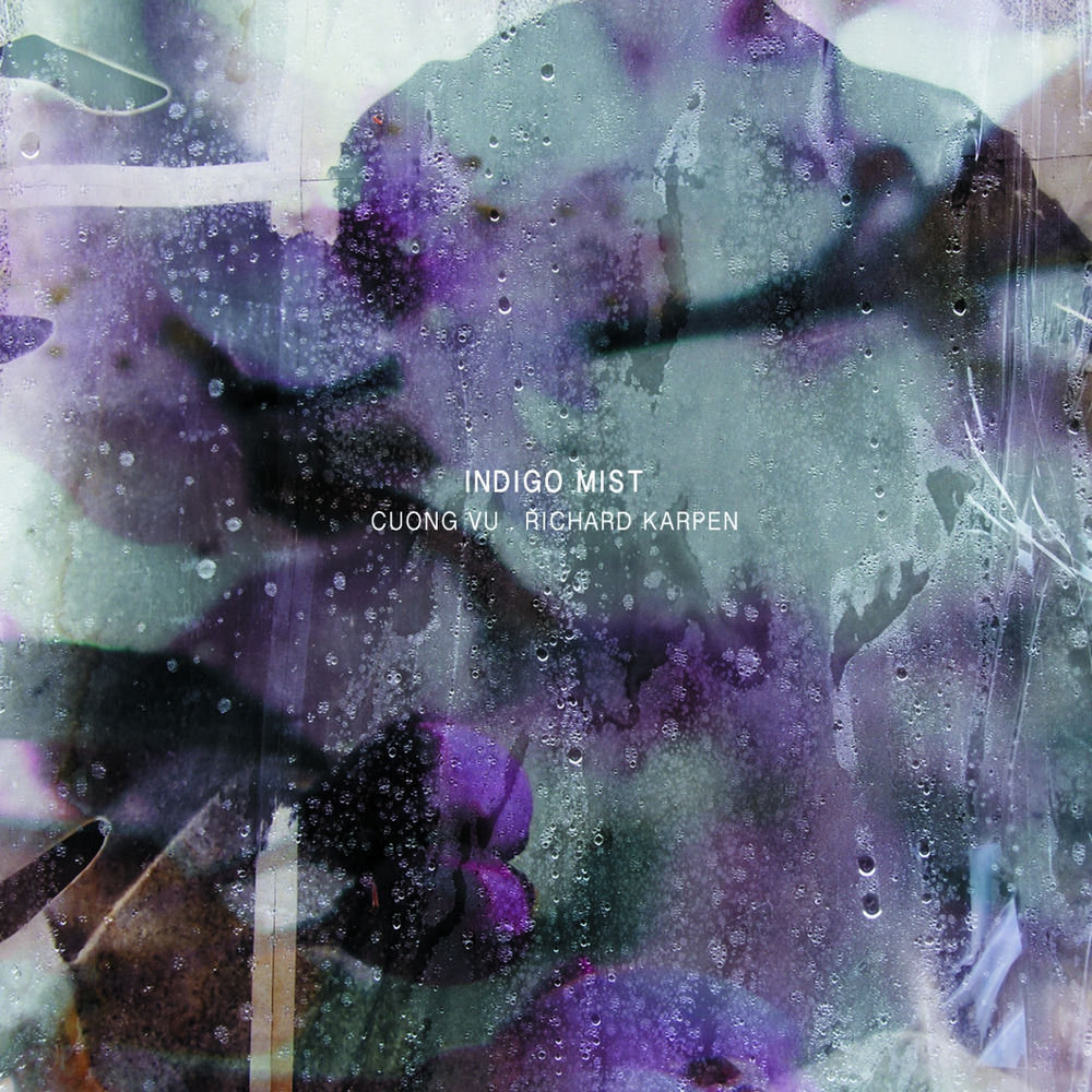 La recensione: "That the days go by and never come again", Indigo Mist #traks