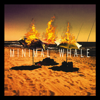 La recensione: "Minimal Whale", Minimal Whale #TraKs