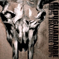 La recensione: "100% Trazzcore 100%", dEpUGLIAmADRE #TraKs