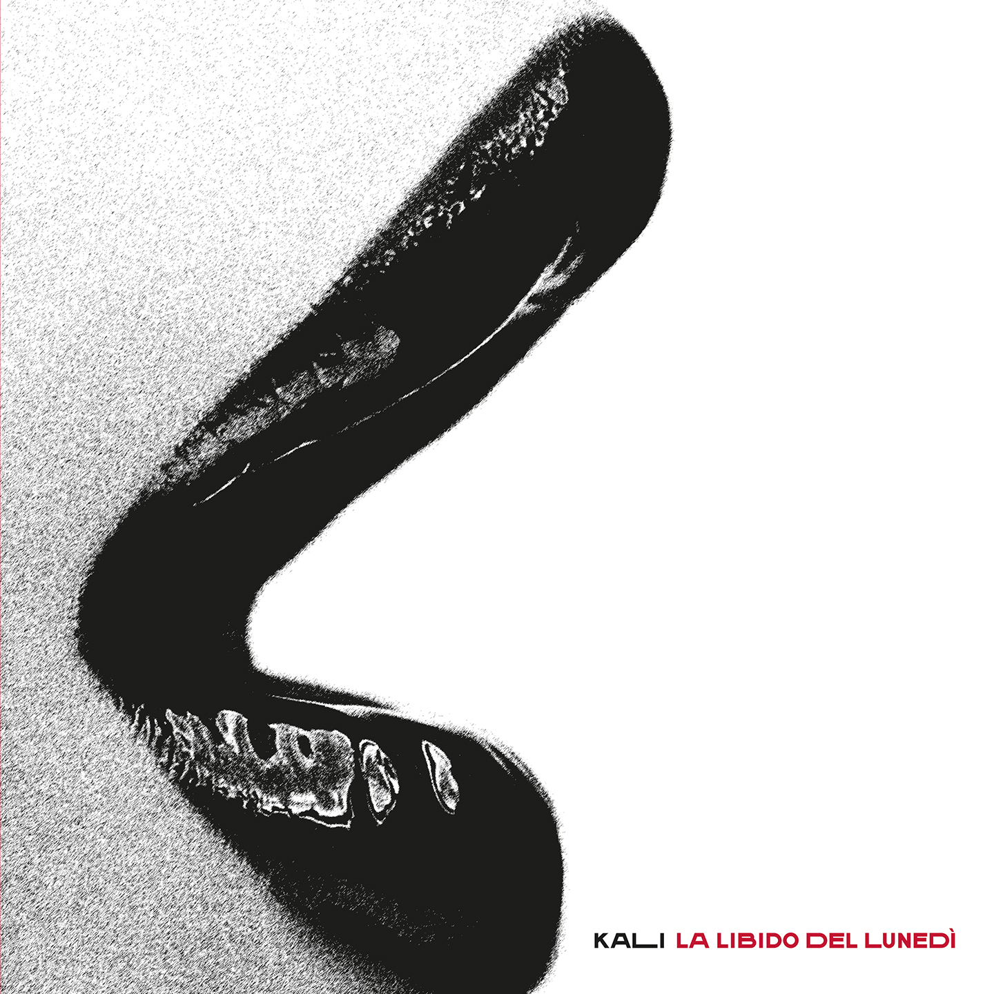 La recensione: "La libido del lunedì", Kali #TraKs