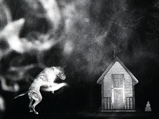 “Usually Nowhere”, Yakamoto Kotzuga: la recensione