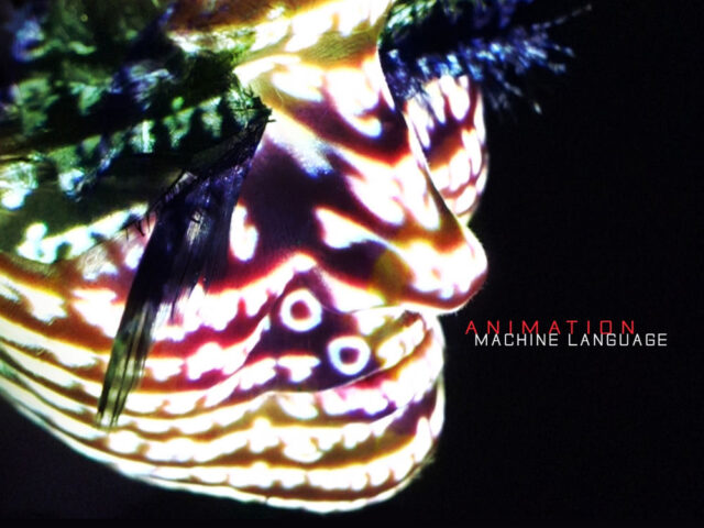 Recensione: Animation, “Machine Language”