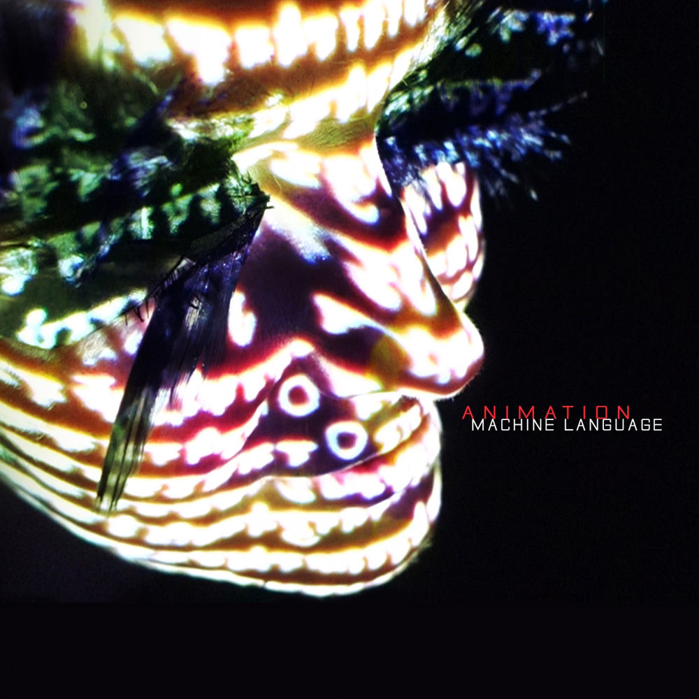 Recensione: Animation, "Machine Language"