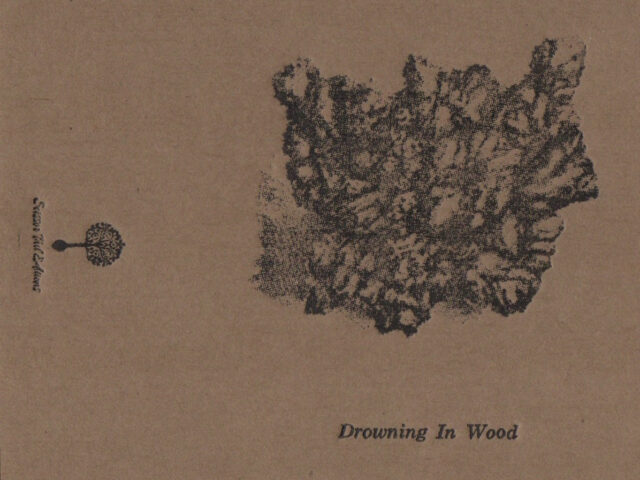 Recensione: Drowning in Wood, “Drowning in Wood”