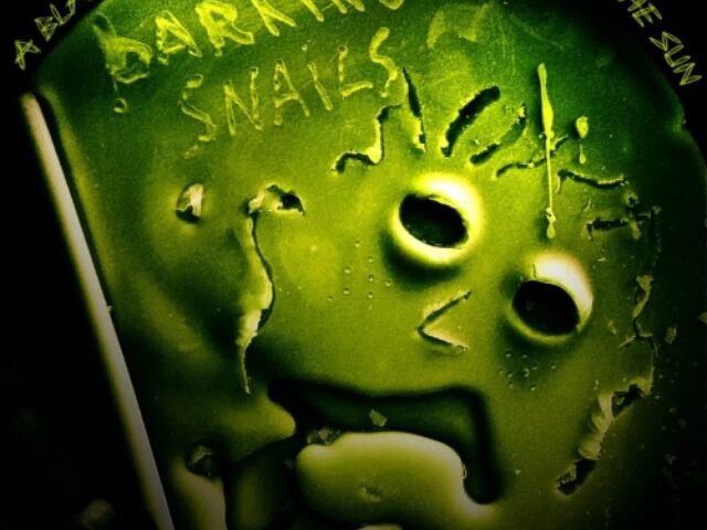 Barking Snails, “A Blanket for the Sun” in anteprima esclusiva