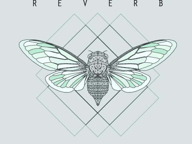 Intervista: Fractal Reverb, i rischi e l’impresa