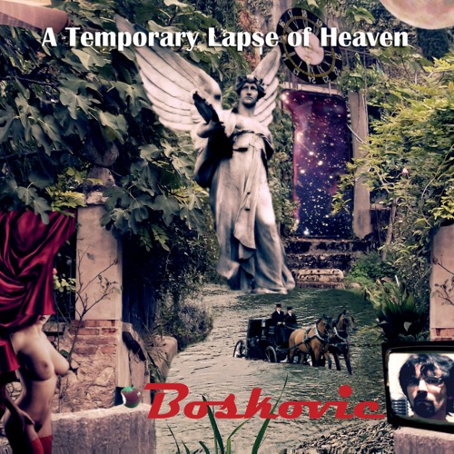 Recensione: Boskovic, “A Temporary Lapse of Heaven”