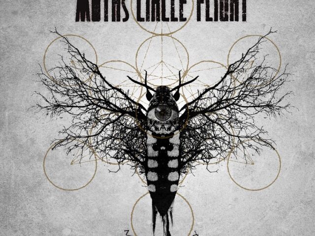 Moth’s Circle Flight: nuovo album il 1° marzo