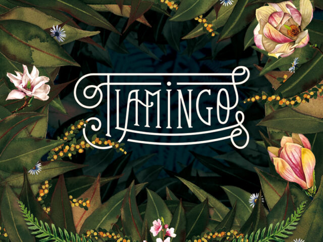 Recensione: Flamingo, “Flamingo”