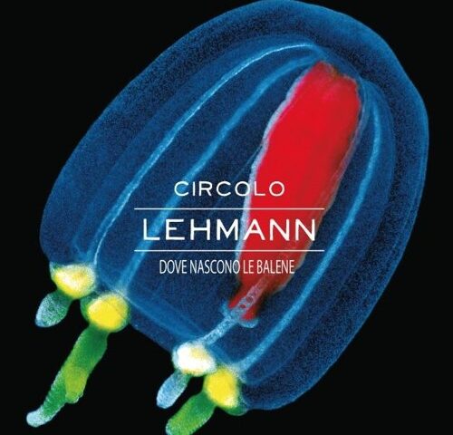 Circolo Lehmann, “Dove nascono le balene”: la recensione