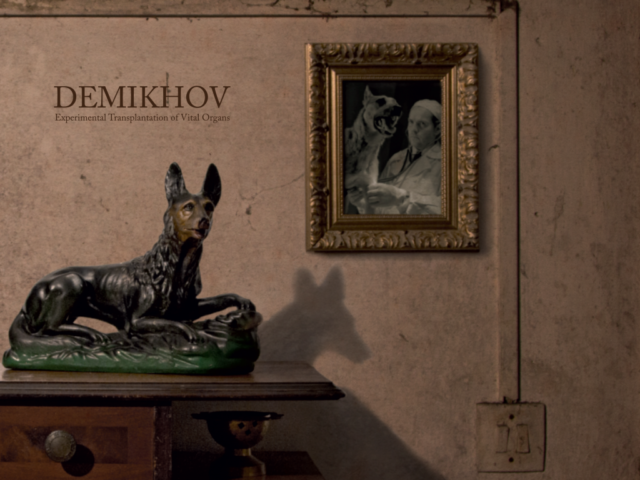 Demikhov, “Experimental Transplantation of Vital Organs”: la recensione