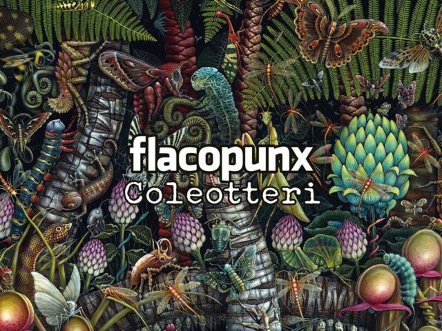 Flaco Punx, “Coleotteri”: la recensione