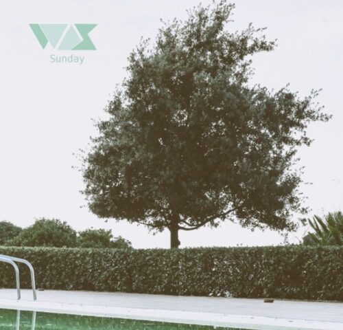 Was, “Sunday”: la recensione