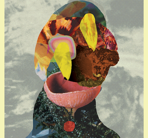 Big Mountain County: “Fun Fun Boogie” è il nuovo video #TRAKFOTHEDAY