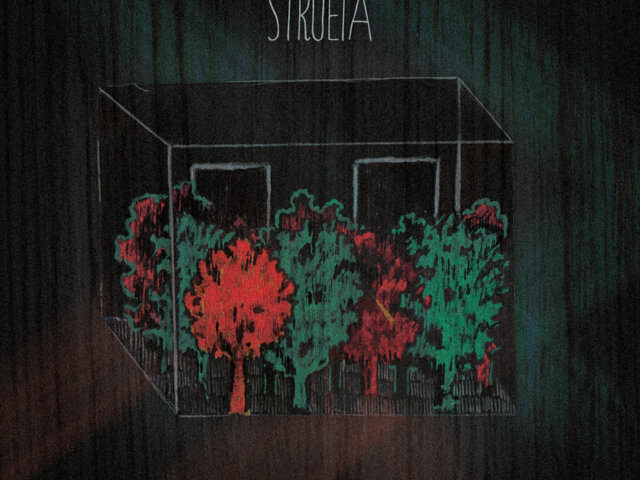 Strueia, “Il bosco la chitarra lo spleen”: la recensione