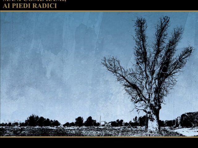 Modena City Ramblers, “Mani come rami, ai piedi radici”: la recensione
