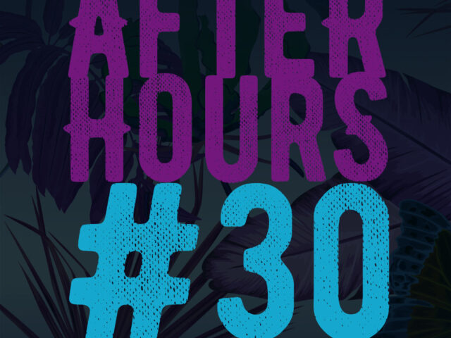 Afterhours #30 Summer Tour: ecco le prime date