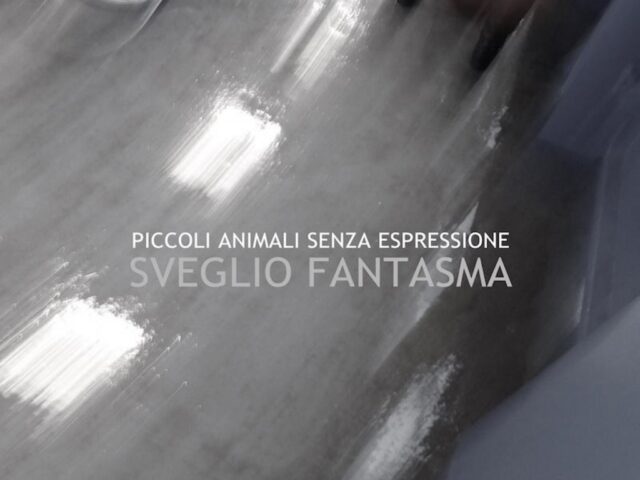L’intervista: Piccoli Animali Senza Espressione, esorcizzando i momenti difficili
