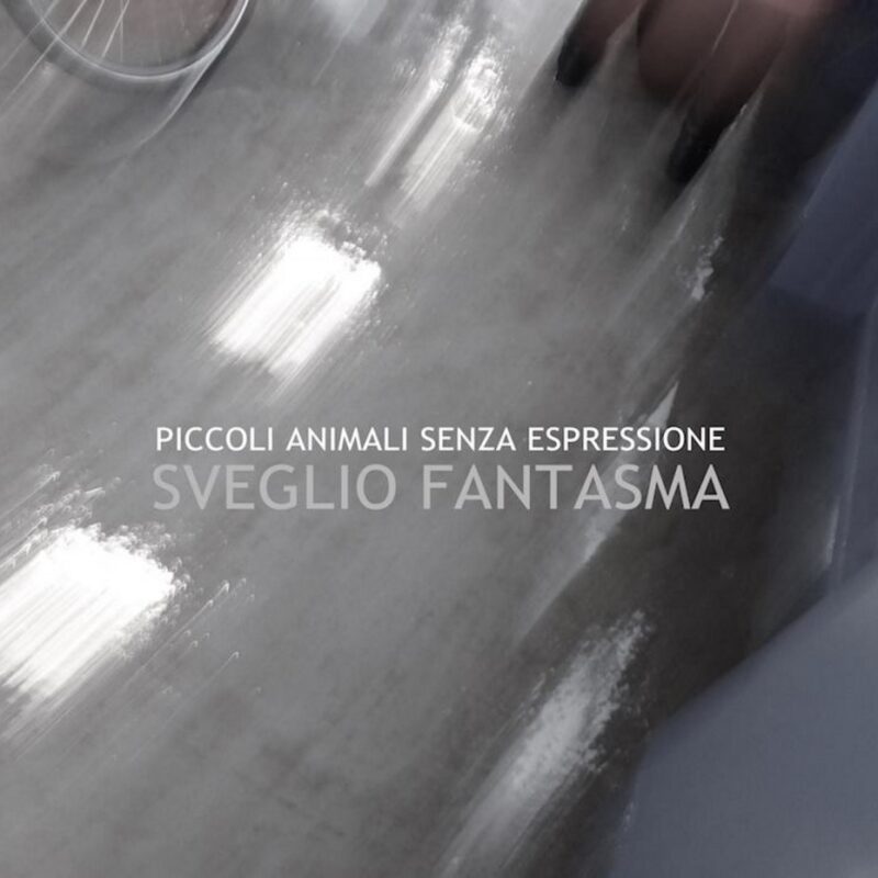L’intervista: Piccoli Animali Senza Espressione, esorcizzando i momenti difficili