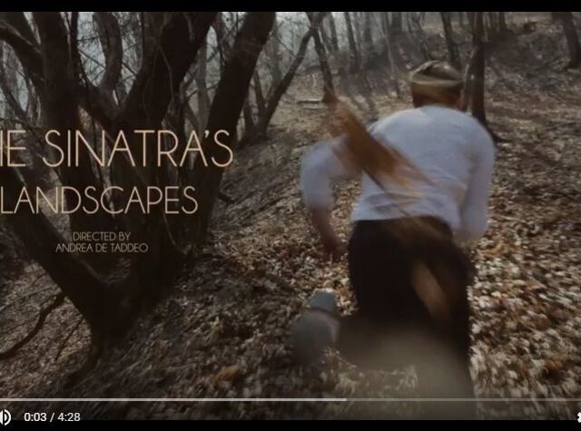 Sinatra’s: “Landscapes” è il nuovo video #TRAKOFTHEDAY