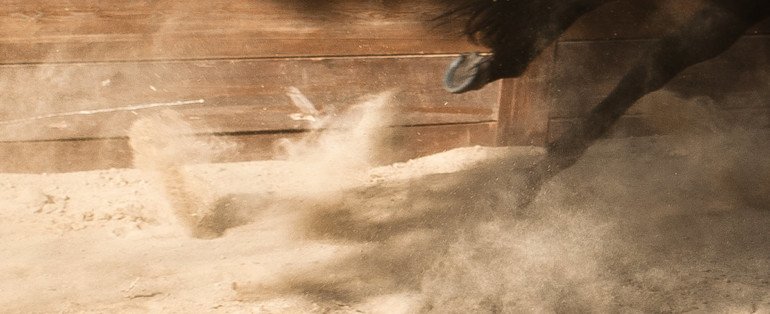 Matteo Bennici, “Solum”: recensione e streaming