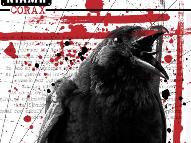 Niamh, “Corax”: la recensione