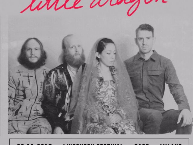 Little Dragon: data italiana a novembre