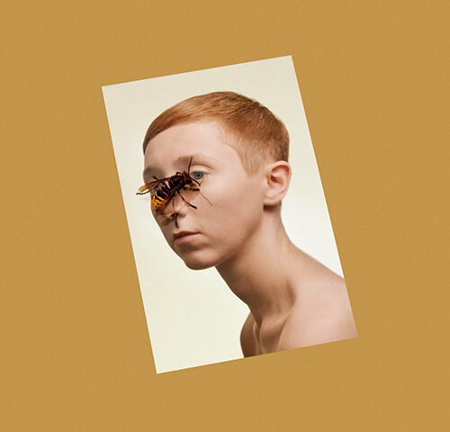 L I M, “Higher Living”: la recensione