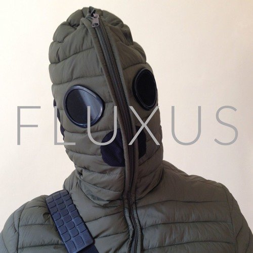 fluxus