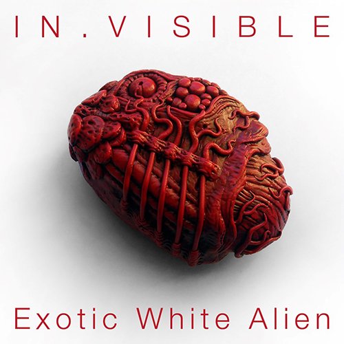 in.visible