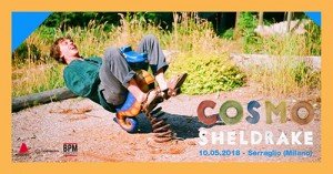 cosmo sheldrake