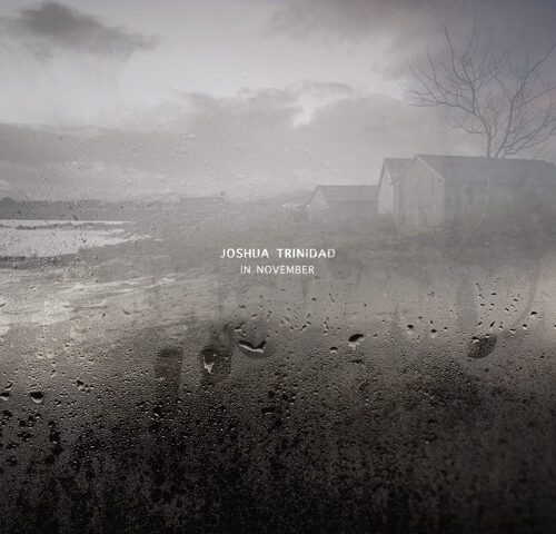 Joshua Trinidad Trio, “In November”: la recensione #TRAKSTRANGERS
