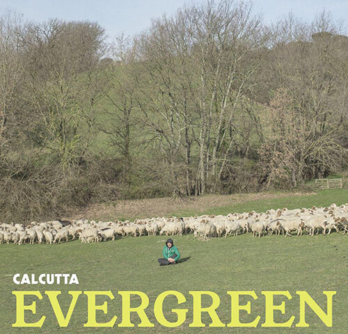 Calcutta, “Evergreen”: la recensione