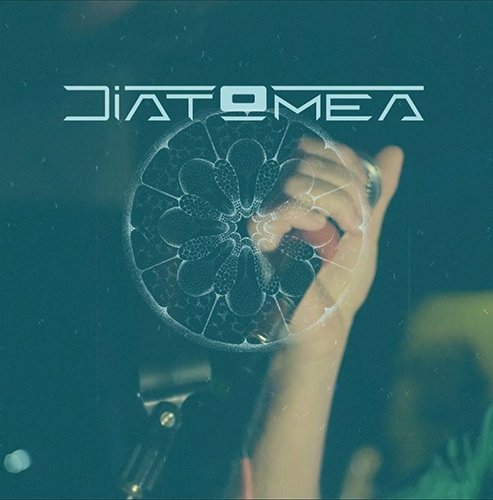Diatomea