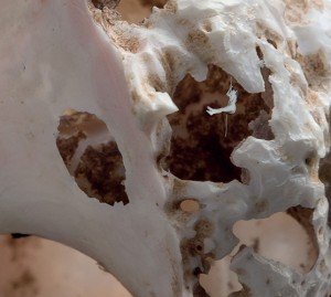 oteme, il corpo nel sogno