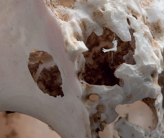 oteme, il corpo nel sogno