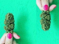 Peperoncino Hemp Fest 2018: musica & canapa