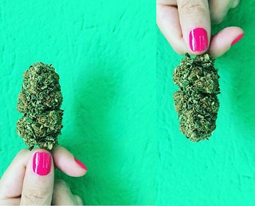 peperoncino hemp fest