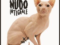Coma_Cose: “Nudo integrale” è la #TRAKOFTHEDAY