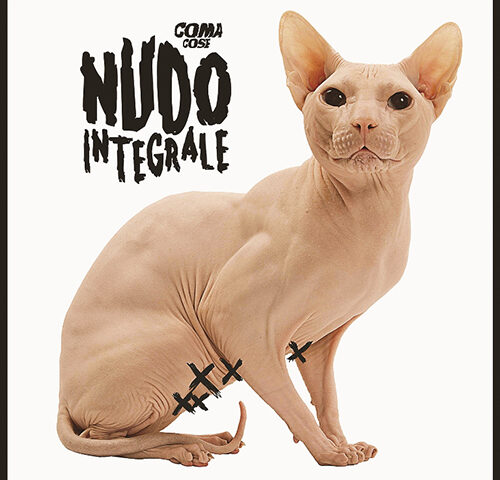 Coma_Cose: “Nudo integrale” è la #TRAKOFTHEDAY