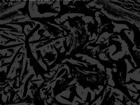 The Death Notes, “The Black ep”: l’aperitivo con l’ep