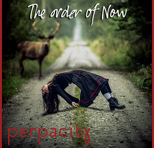 Perpacity, “The Order of Now”: la recensione #TRAKSTRANGERS
