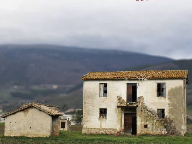 Grandi insegne il grande allibratore, “Ad oggi mancano”: la recensione