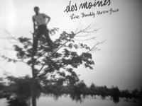 Des Moines, “Like Freshly Mown Grass”: la recensione
